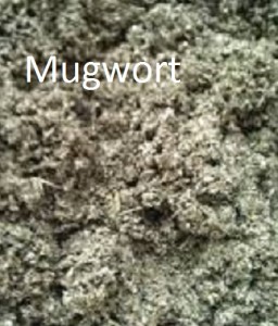 Mugwort. Artemisia vulgaris. Dried Herbal Tea.