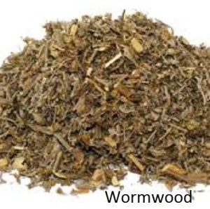 Wormwood. Artemisia absinthum. Dried Herbal Tea.