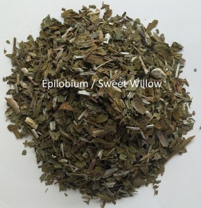 Epilobium / Small Leafed Willow - Epilobium parviflorum. Herbal Tea. Dried Herb.