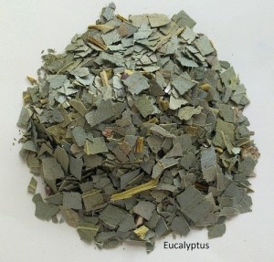 Eucalyptus Leaf - Eucalyptus globulus. Dried. Herbal Tea.