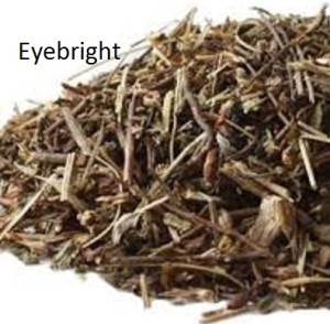 Dried Eyebright Herb - Euphrasia officinalis. Herbal Tea