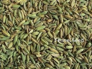 Dried Fennel Seed - Foeniculum vulgare. Herbal Tea. Spices for cooking.