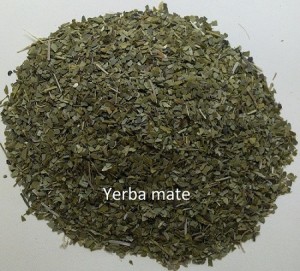 Yerba mate - Ilex paraguariensis. Dried. Herbal Tea.