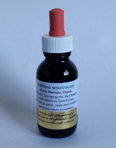 Gingivae Mouthwash 50ml Myrrh. Plantain. Cloves. Liquid Herbal Extract.