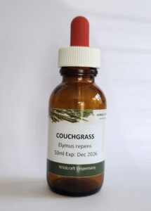 Couchgrass Elymus repens 50ml