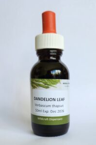DANDELION LEAF Liquid Herbal Extract