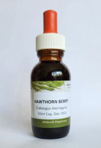 HAWTHORN BERRY Liquid Herbal Extract