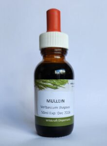 MULLEIN Liquid Herbal Extract