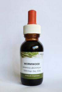WORMWOOD Liquid Herbal Extract